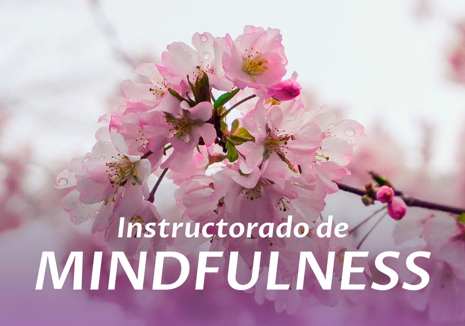 Mindfulness